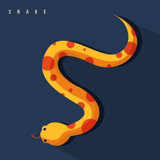 Snake king & Food